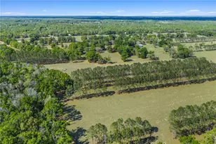 4639 SW Wilson Springs Rd, Fort White, FL 32038 - Photo 53