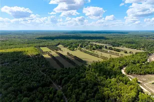 4639 SW Wilson Springs Rd, Fort White, FL 32038 - Photo 49