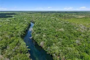 4639 SW Wilson Springs Rd, Fort White, FL 32038 - Photo 49