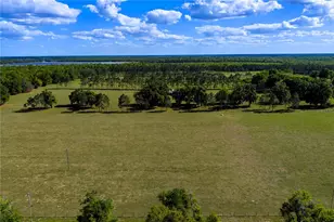 4639 SW Wilson Springs Rd, Fort White, FL 32038 - Photo 39