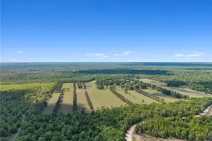 4639 SW Wilson Springs Rd, Fort White, FL 32038 - Photo 41