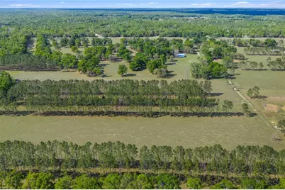 4639 SW Wilson Springs Road, Fort White, FL 32038 - Photo 57