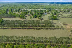 4639 SW Wilson Springs Rd, Fort White, FL 32038 - Photo 57