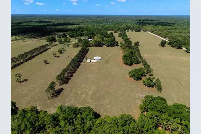 4639 SW Wilson Springs Road, Fort White, FL 32038 - Photo 41