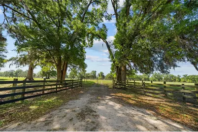 4639 SW Wilson Springs Road, Fort White, FL 32038 - Photo 27