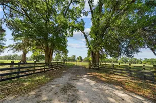 4639 SW Wilson Springs Rd, Fort White, FL 32038 - Photo 27