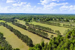 4639 SW Wilson Springs Rd, Fort White, FL 32038 - Photo 7