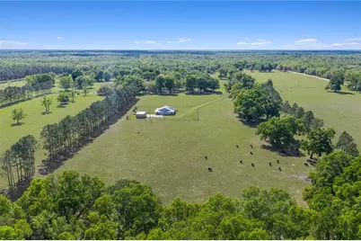 4639 SW Wilson Springs Road, Fort White, FL 32038 - Photo 69