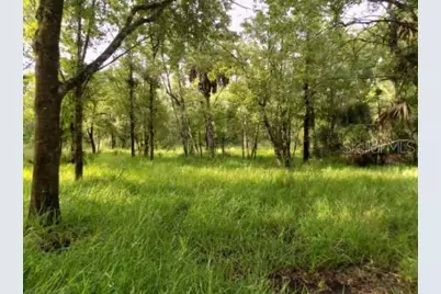 5001 Whippoorwill Drive, Holiday, FL 34690 - Photo 1