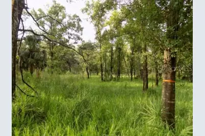 5001 Whippoorwill Drive, Holiday, FL 34690 - Photo 3