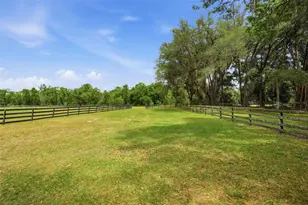 16650 NE 53rd Ln, Williston, FL 32696 - Photo 93