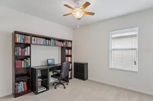 3517 Winterberry Ln, Valrico, FL 33594 - Photo 45