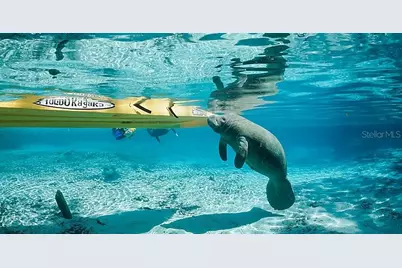 5327 N Mallows Circle, Beverly Hills, FL 34465 - Photo 89