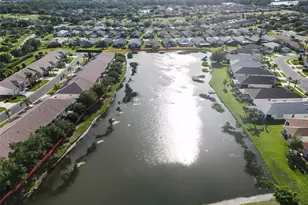 1933 Arbor Knoll Loop, Trinity, FL 34655 - Photo 53