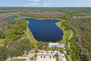 4051 Mellon Dr, Odessa, FL 33556 - Photo 85