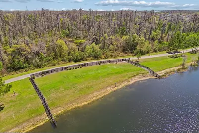 4051 Mellon Drive, Odessa, FL 33556 - Photo 83