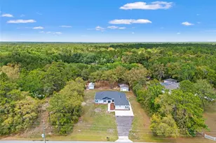 11099 Yellow Hammer Rd, Weeki Wachee, FL 34614 - Photo 67