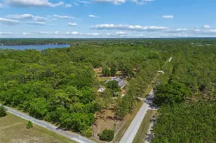 5438 Drexel Rd, Land O Lakes, FL 34638 - Photo 69