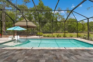 5438 Drexel Rd, Land O Lakes, FL 34638 - Photo 3