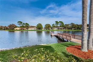 9427 Cape Charles Ave, New Port Richey, FL 34655 - Photo 57
