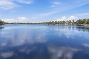 11403 Biddeford Pl, New Port Richey, FL 34654 - Photo 71