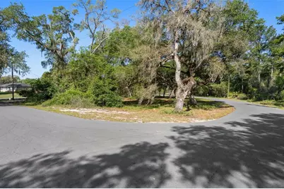5043 Cardinal Drive, Dade City, FL 33523 - Photo 3