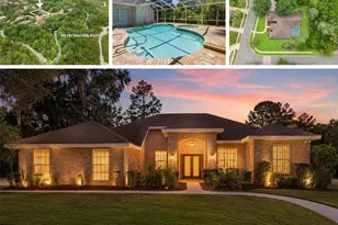 6153 New Osprey Point, Weeki Wachee, FL 34607 - Photo 1