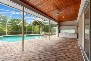 6153 New Osprey Point, Weeki Wachee, FL 34607 - Photo 47