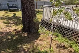 519 Norfolk St, Dunedin, FL 34698 - Photo 29