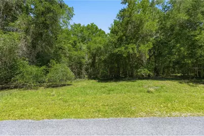 0 Dark Star Trail, Brooksville, FL 34601 - Photo 3