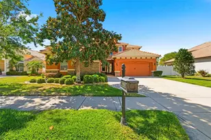 8743 New Alexandria Loop, New Port Richey, FL 34654 - Photo 5