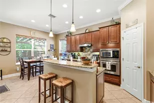8743 New Alexandria Loop, New Port Richey, FL 34654 - Photo 25