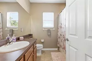 8743 New Alexandria Loop, New Port Richey, FL 34654 - Photo 61