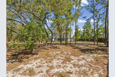 11981 Robina Road, Weeki Wachee, FL 34614 - Photo 59