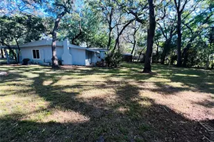 11303 Chicago Ave, New Port Richey, FL 34654 - Photo 27