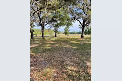 7697 NW 165th Street, Trenton, FL 32693 - Photo 5