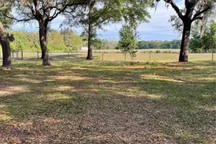 7697 NW 165th St, Trenton, FL 32693 - Photo 5