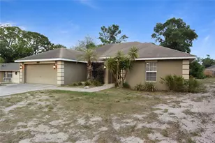 12042 Linden Dr, Spring Hill, FL 34608 - Photo 39