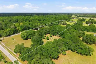 7037 Cr 625, Bushnell, FL 33513 - Photo 5