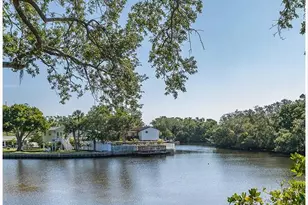 9001 Tudor Dr, Tampa, FL 33615 - Photo 41