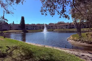 6519 Spring Flower Dr, New Port Richey, FL 34653 - Photo 27