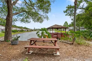 21506 Gray Tern Ct, Lutz, FL 33549 - Photo 41