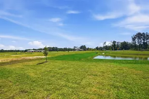 7491 Mia Vine Dr, Brooksville, FL 34601 - Photo 51