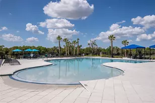 14363 Hammock Oak St, Parrish, FL 34219 - Photo 53