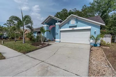 1938 Wood Thrush Street, Tarpon Springs, FL 34689 - Photo 43