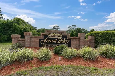 1938 Wood Thrush Street, Tarpon Springs, FL 34689 - Photo 25