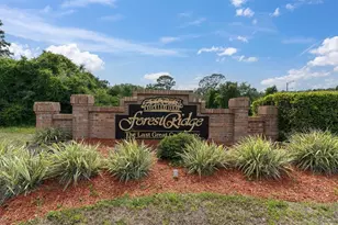1938 Wood Thrush St, Tarpon Springs, FL 34689 - Photo 25
