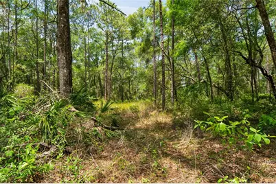 16225 Bonzai Trail, Brooksville, FL 34613 - Photo 55