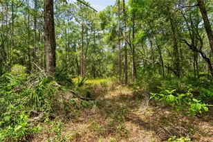 16225 Bonzai Trl, Brooksville, FL 34613 - Photo 55