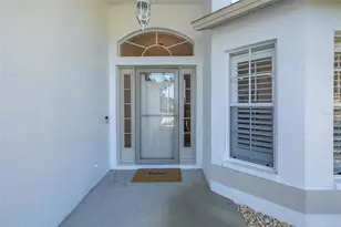 11428 Hidden Cove Ct, Trinity, FL 34655 - Photo 5